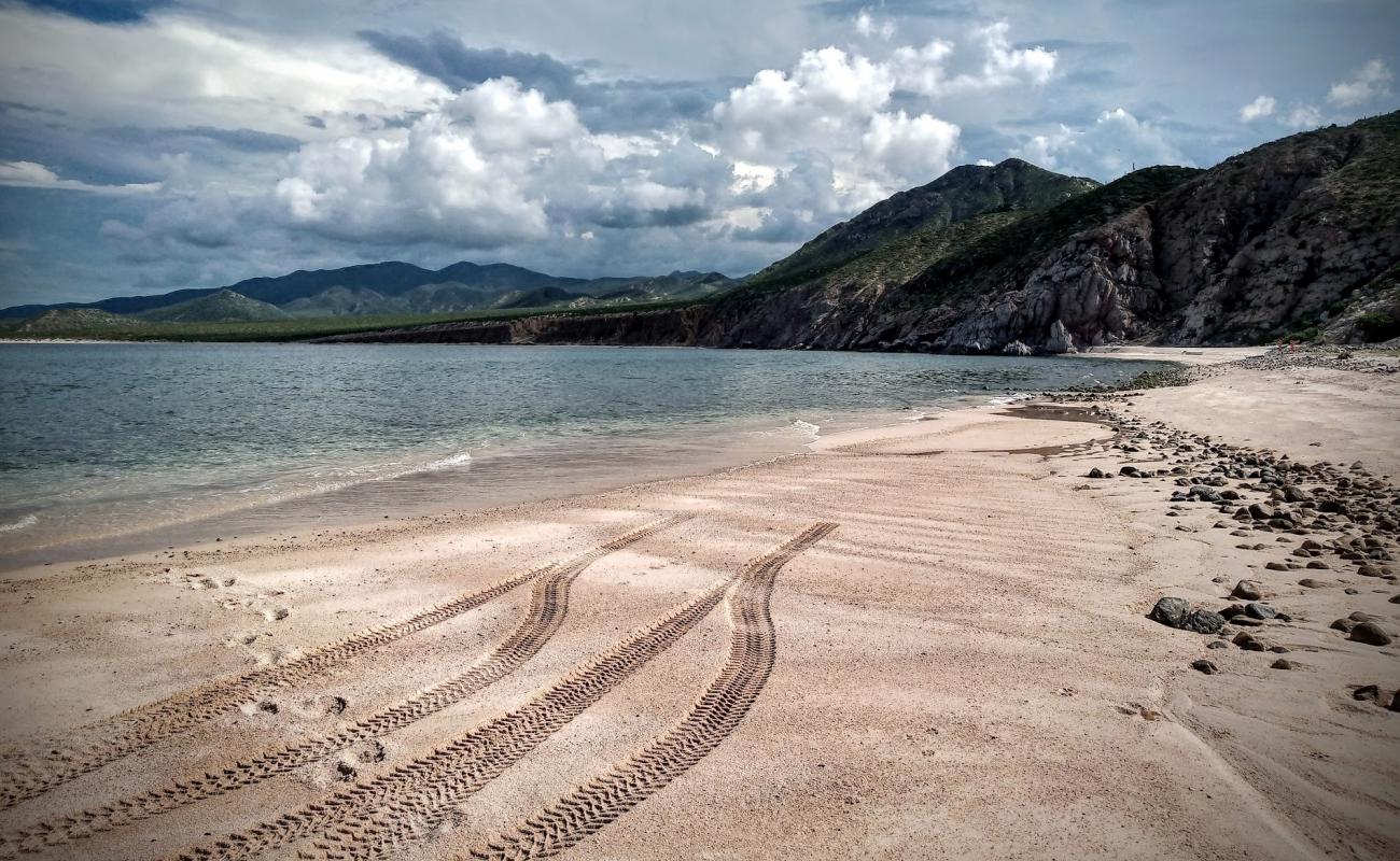 Photo de Playa el Rosario avec sable beige de surface