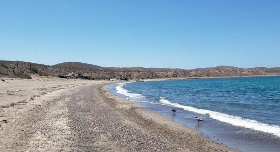 Playa el Coyote