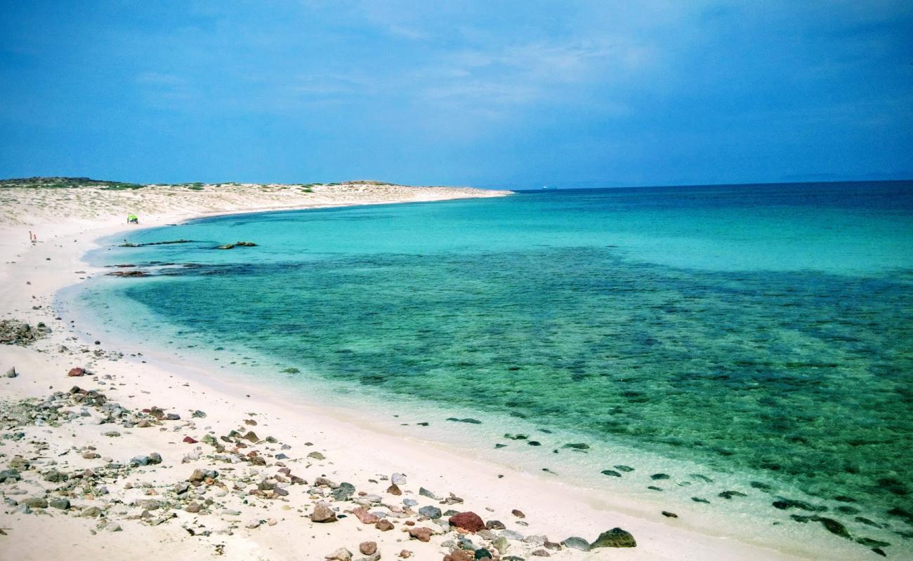 Photo de Playa Pulguero Tepetates avec sable clair avec caillou de surface