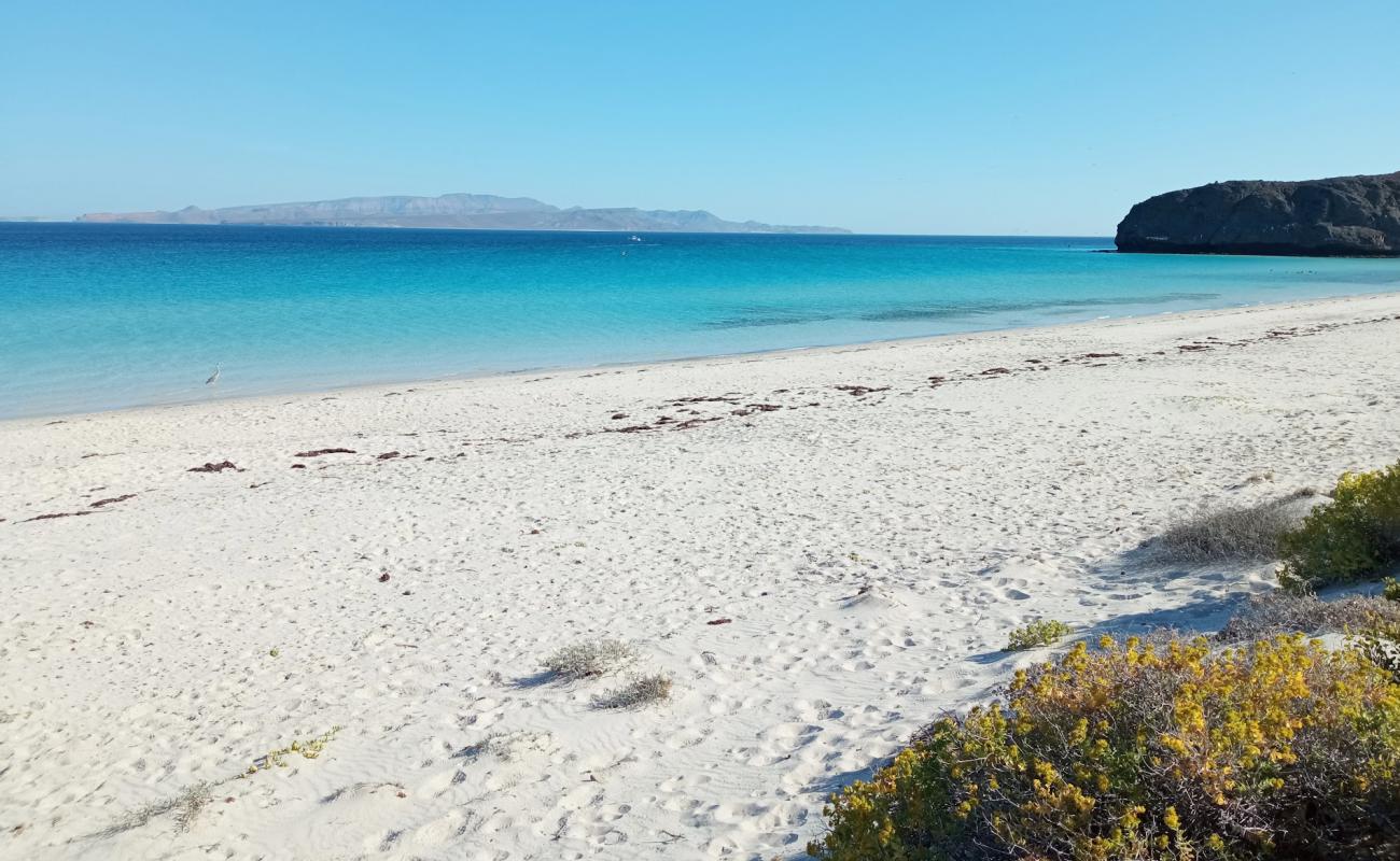 Photo de Playa Escondida avec sable beige fin de surface