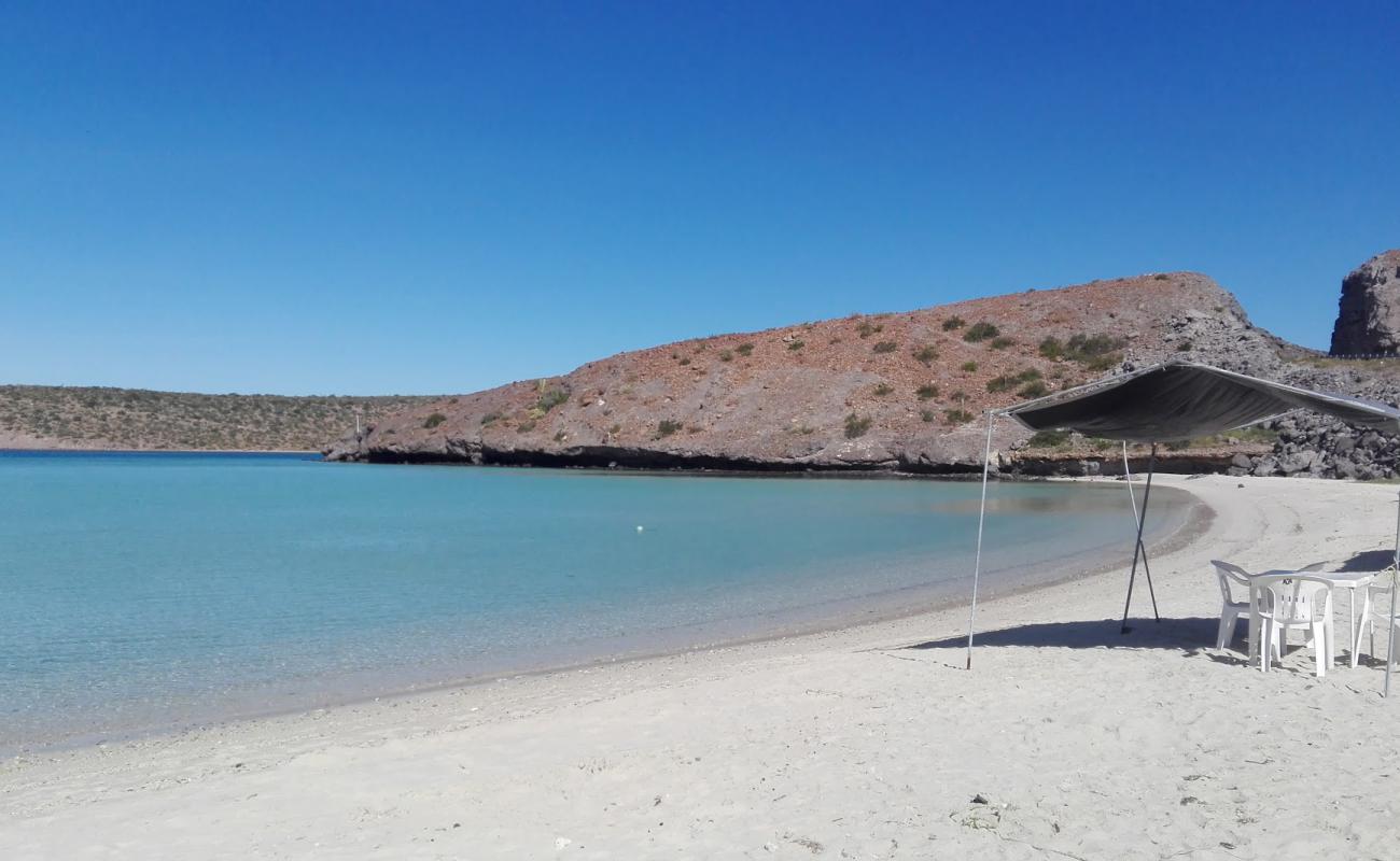 Photo de Playa El Tesoro avec sable lumineux de surface