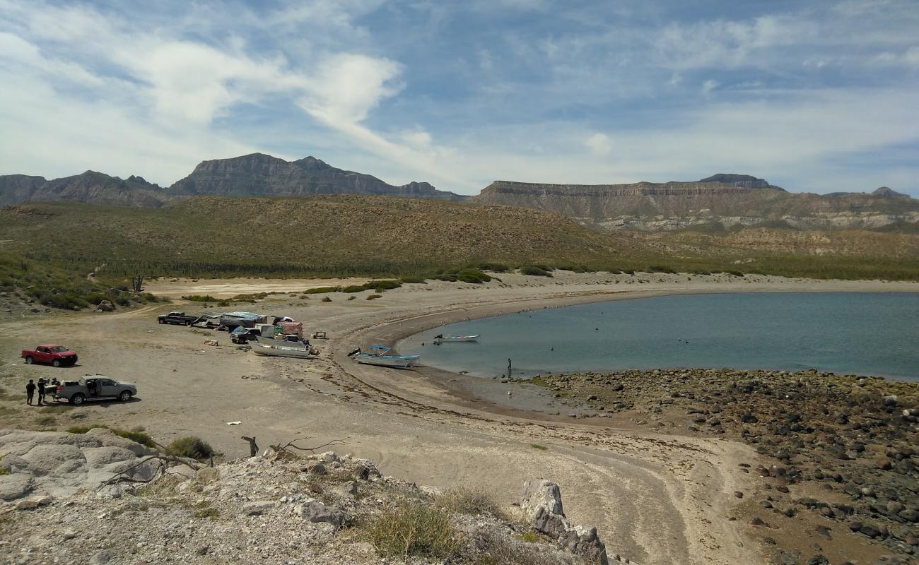 Photo de Playa Punta Mechudo avec sable gris de surface