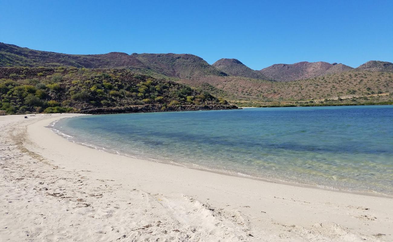 Photo de Plage El Requeson avec sable fin et lumineux de surface