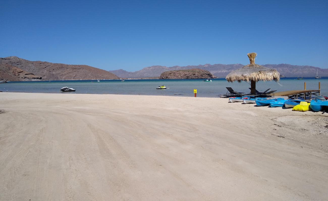 Photo de Playa Posada Concepcion avec sable beige de surface