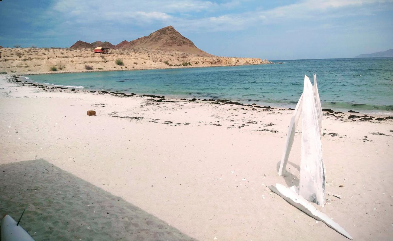 Photo de Playa Las Animas avec sable fin et lumineux de surface