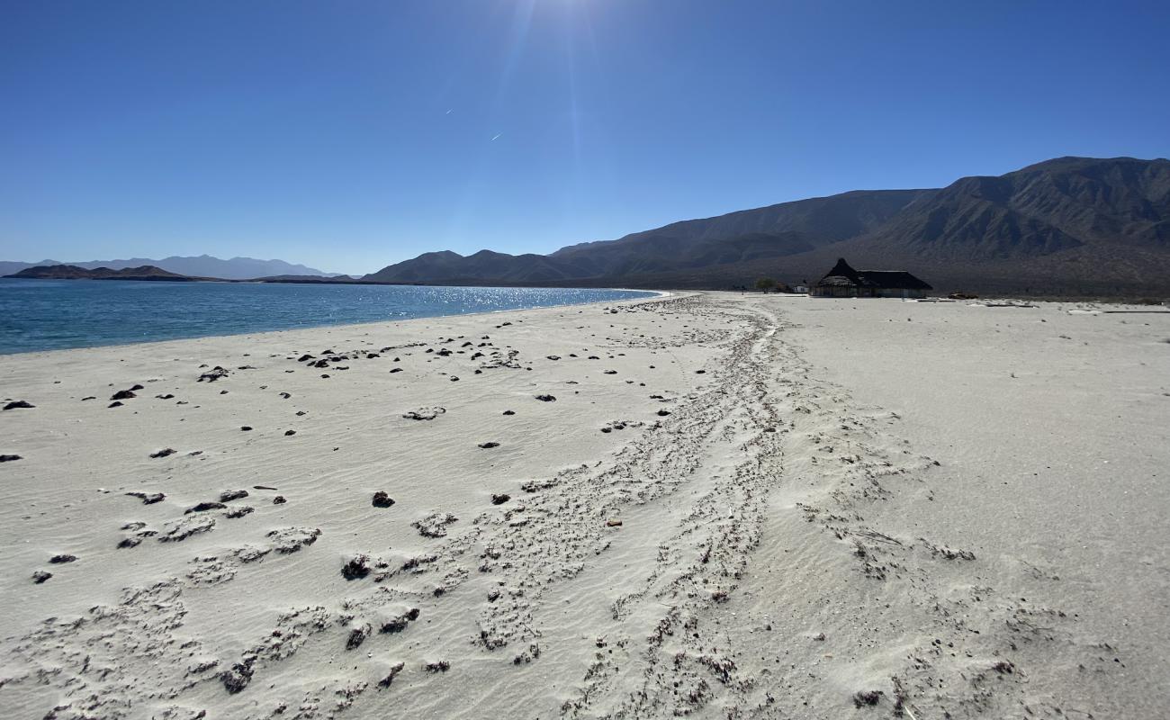 Photo de Playa El Pescador avec sable beige fin de surface