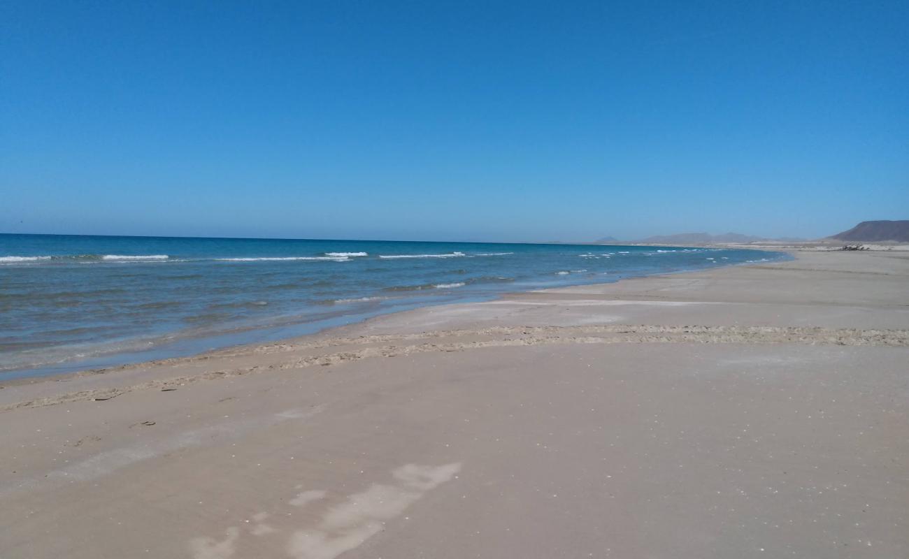 Photo de Playa Puerto Lobos avec sable beige fin de surface