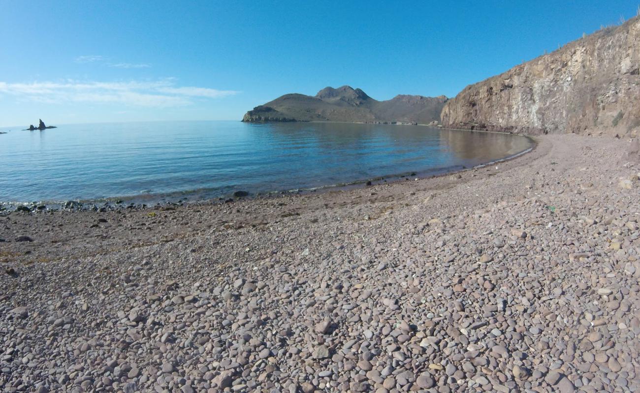 Photo de Catalina Bay beach avec caillou gris de surface