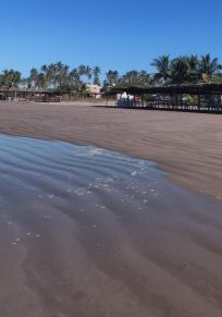 Ejido Playa Novillero