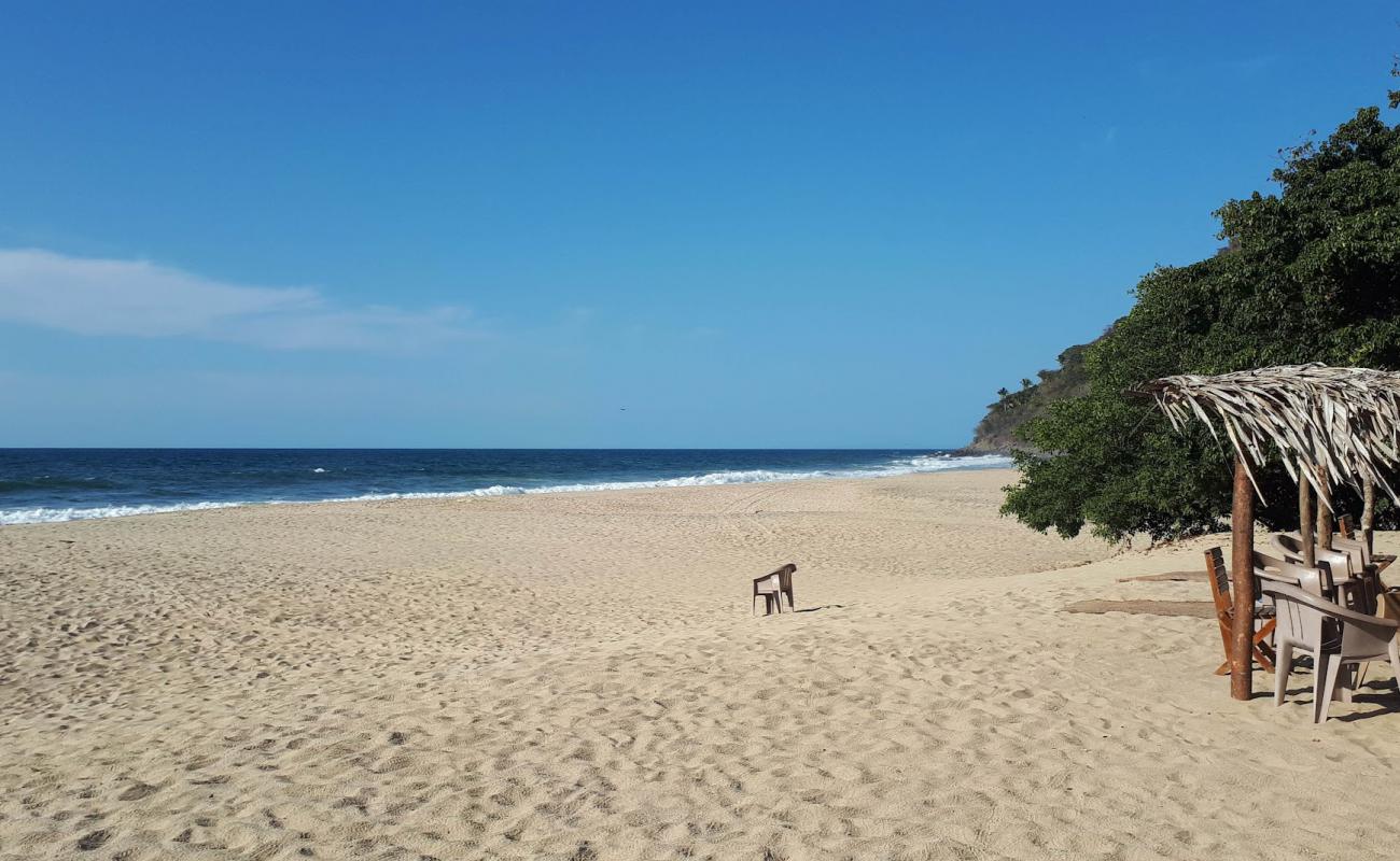 Photo de Playa Punta Monterrey avec sable beige fin de surface