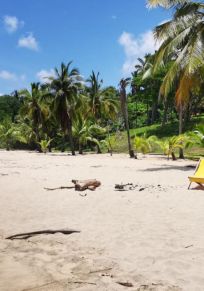 San Francisco (San Pancho)