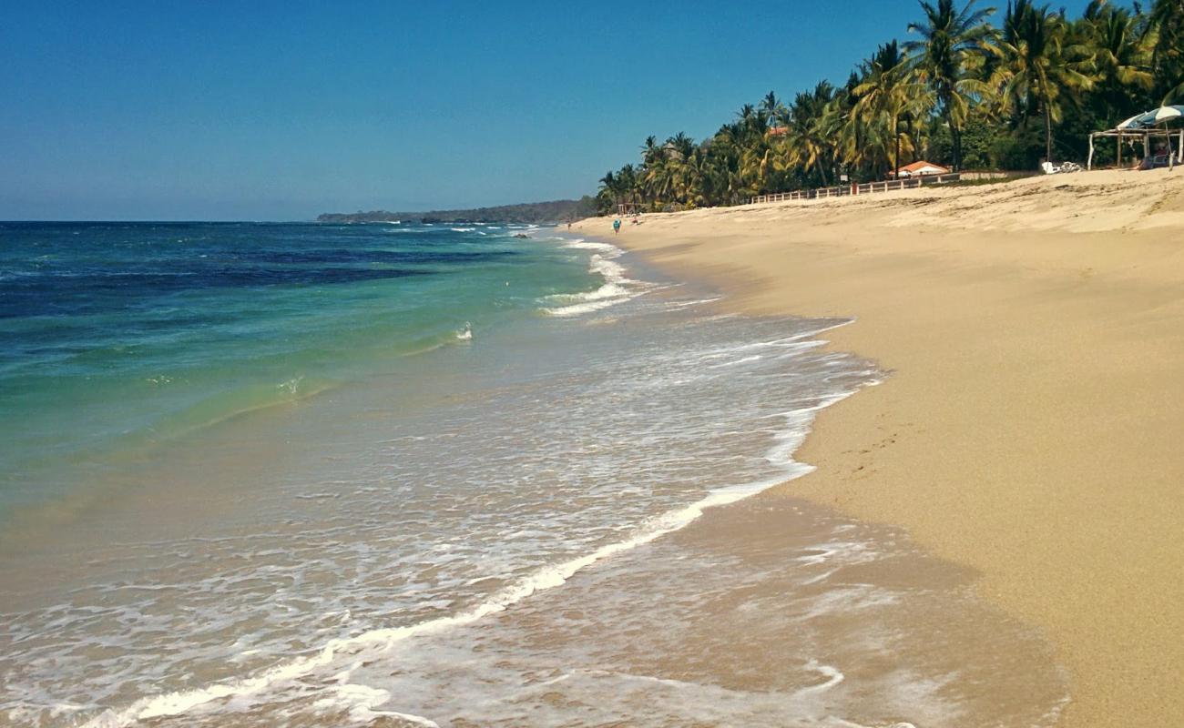 Photo de Burro Punta Mita avec sable beige de surface