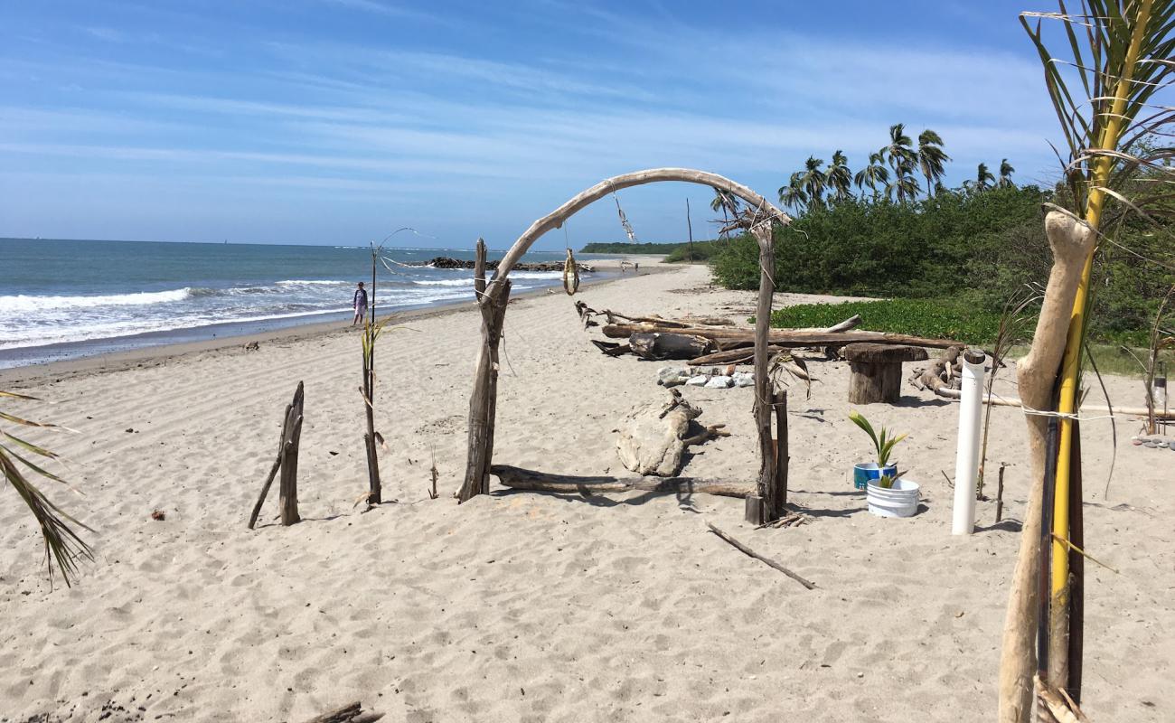 Photo de Sea Turtles beach avec sable beige de surface