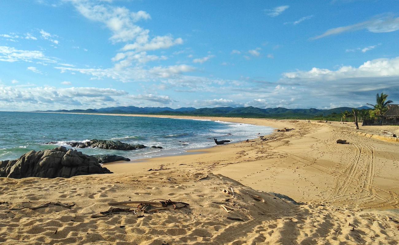 Photo de Tortuguero Mayto avec sable beige de surface