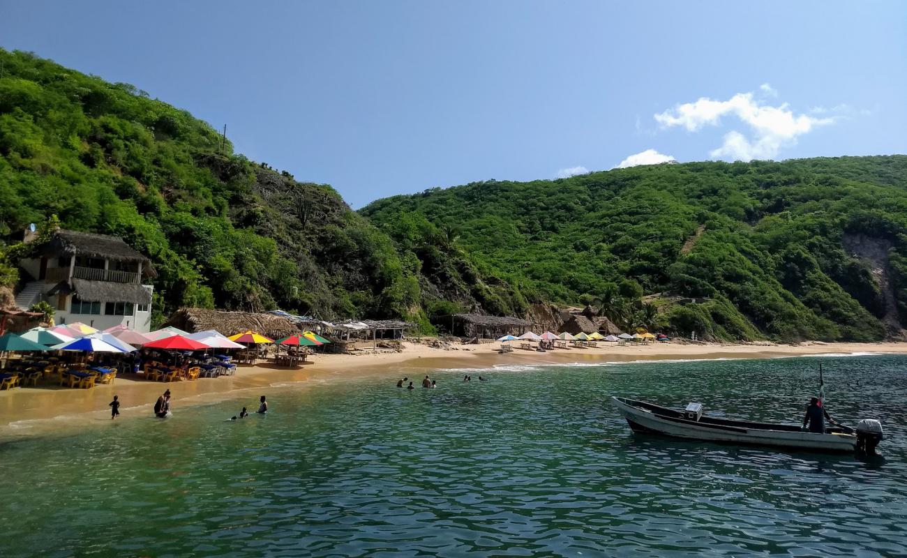 Photo de Tehuamixtle beach avec sable beige de surface