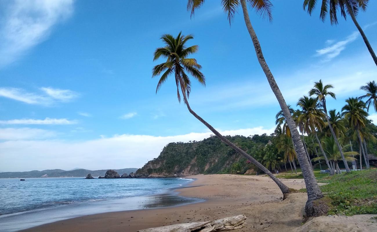 Photo de Playa El Tamarindo avec sable fin marron de surface