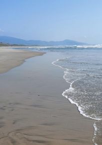 La Brisa