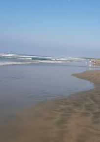 El Entronque de la Union (Desv. de la Union)