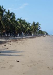 La Saladita