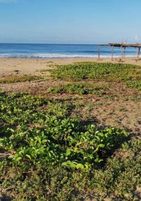 Playa Boca Chica