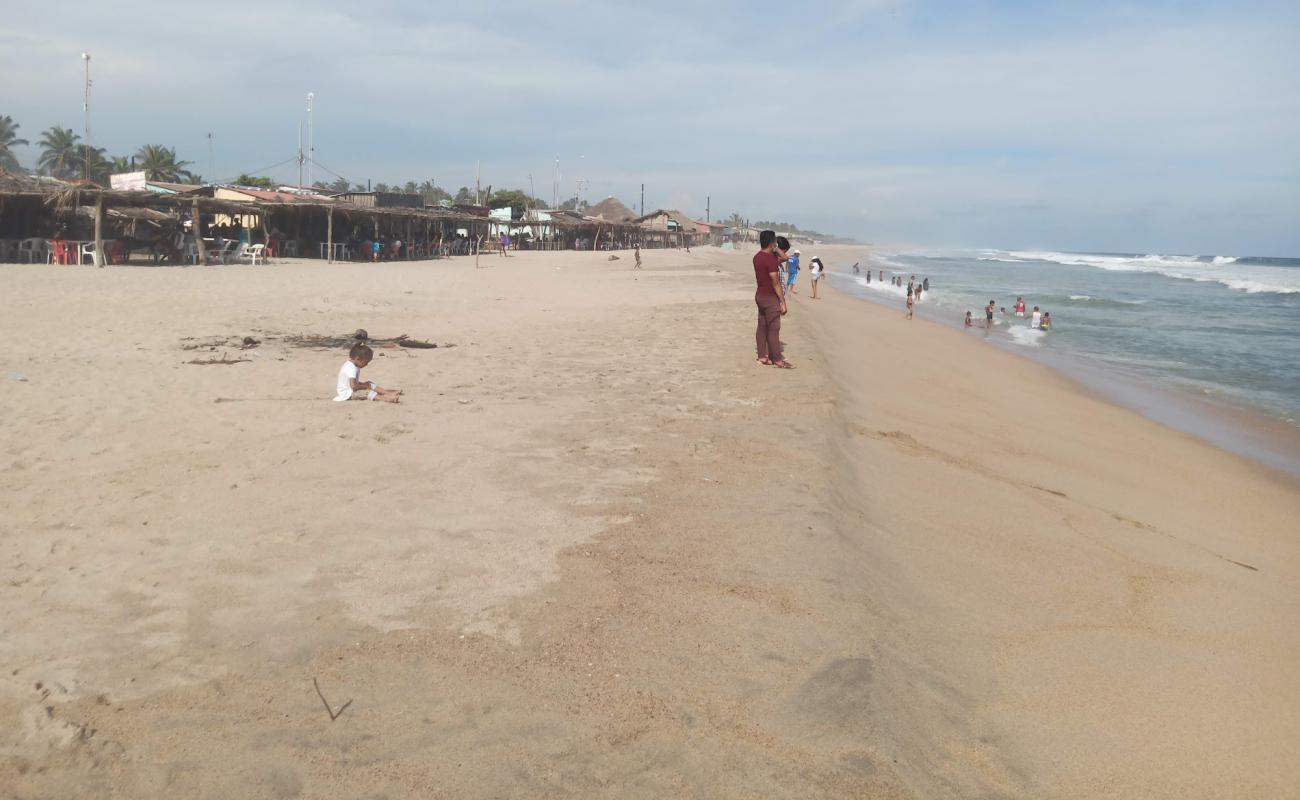 Photo de Playa Los Zacatales avec sable beige de surface