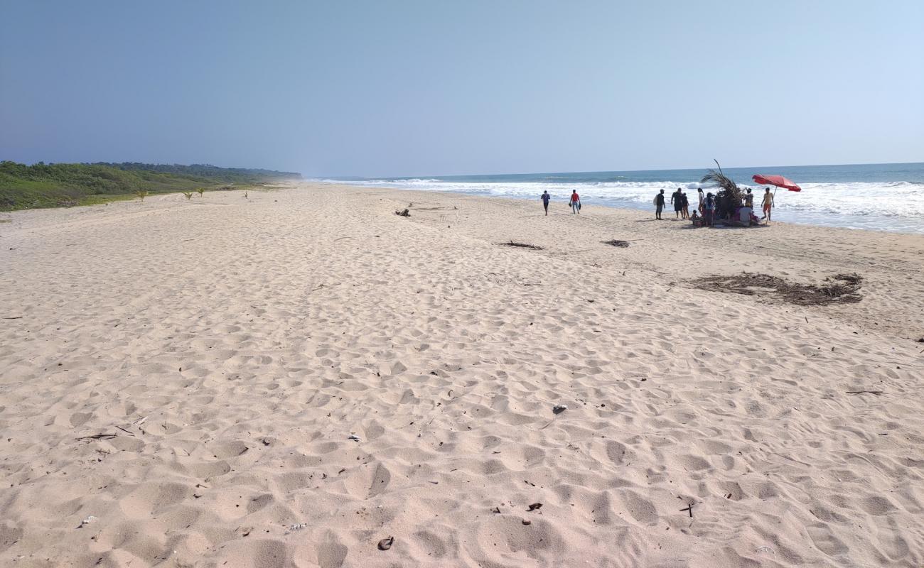 Photo de Playa El Tamale avec sable beige de surface