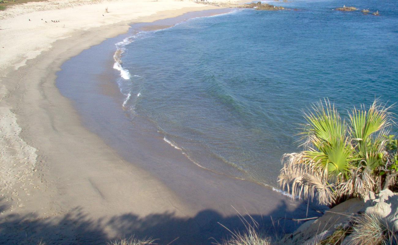 Photo de Playa del sur avec sable beige de surface