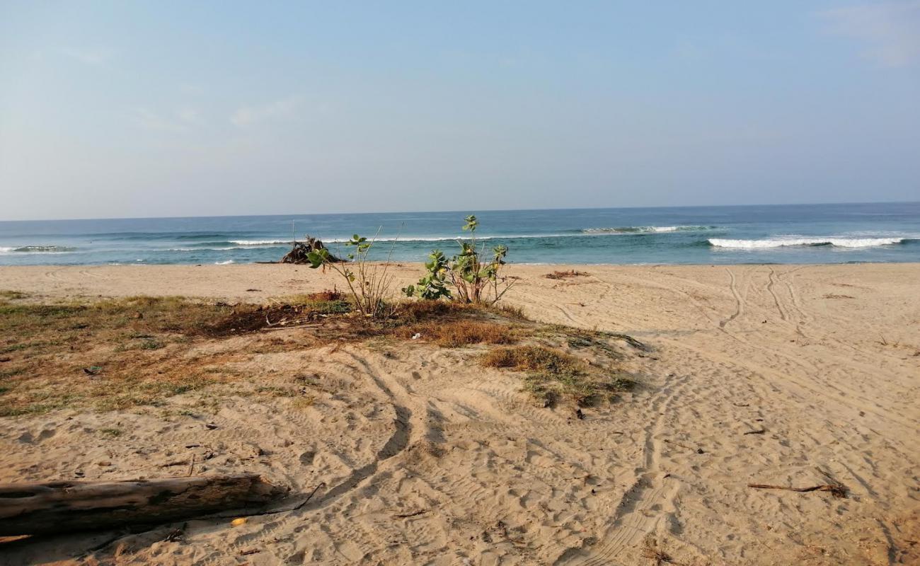 Photo de Playa Los Naranjos avec sable fin et lumineux de surface