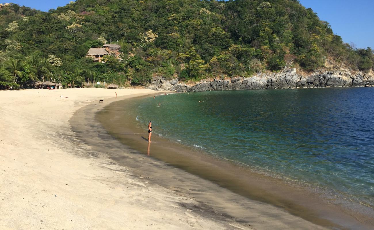Photo de Playa La Boquilla avec sable beige fin de surface
