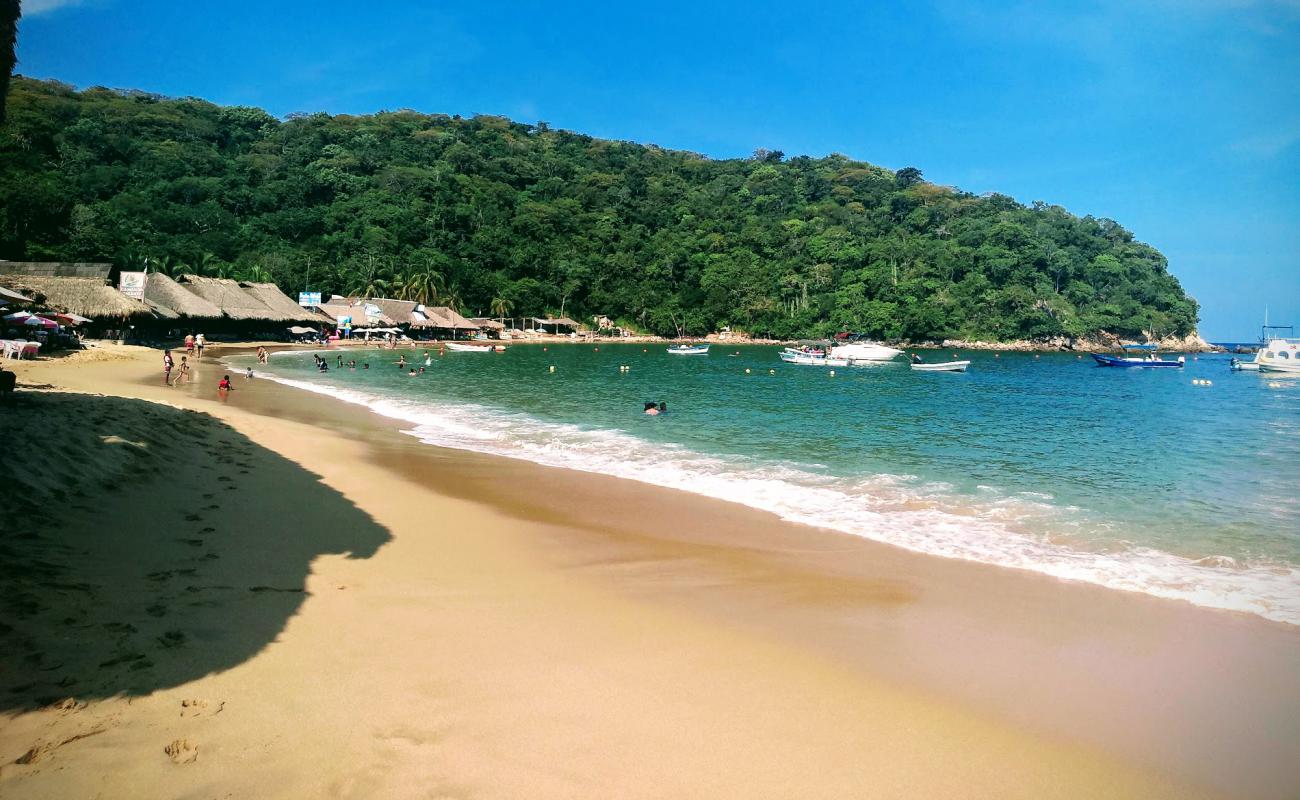 Photo de Plage de Maguey avec sable fin et lumineux de surface