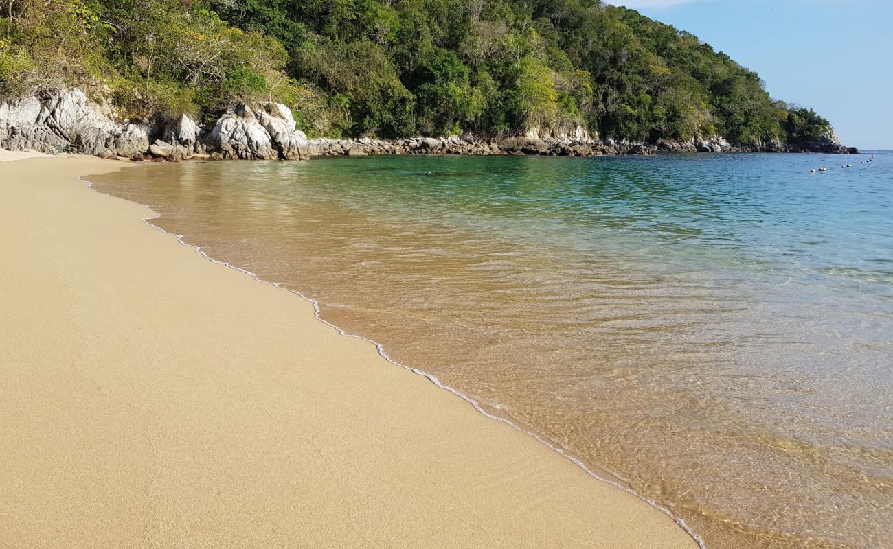 Photo de Organo beach avec sable beige fin de surface