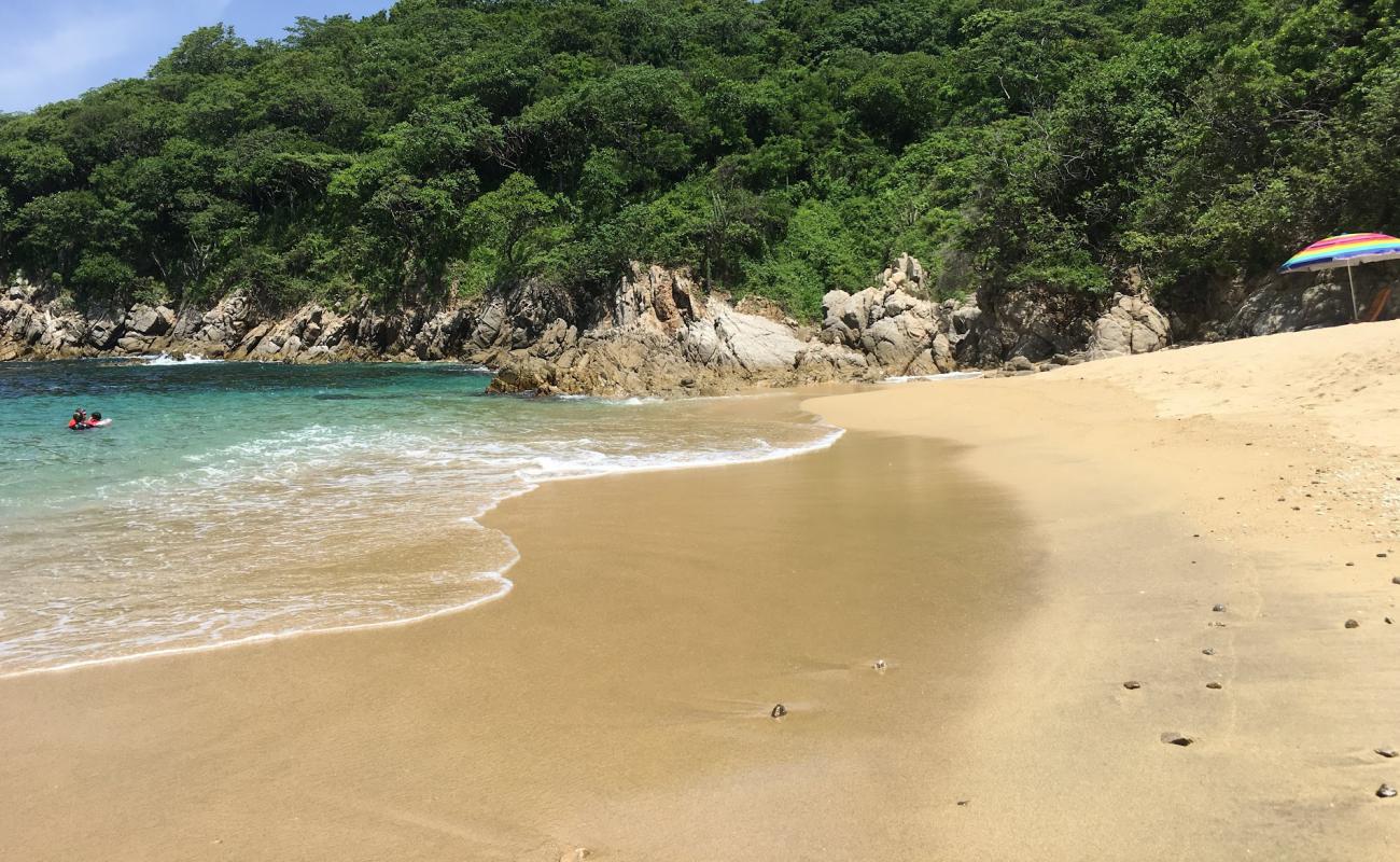 Photo de Violin Huatulco beach avec sable beige de surface