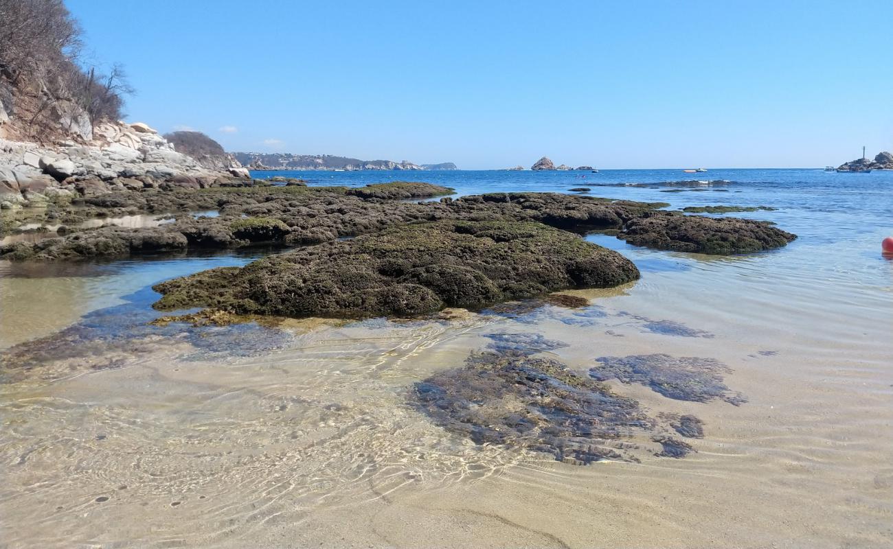 Photo de Los Compas beach avec sable lumineux de surface