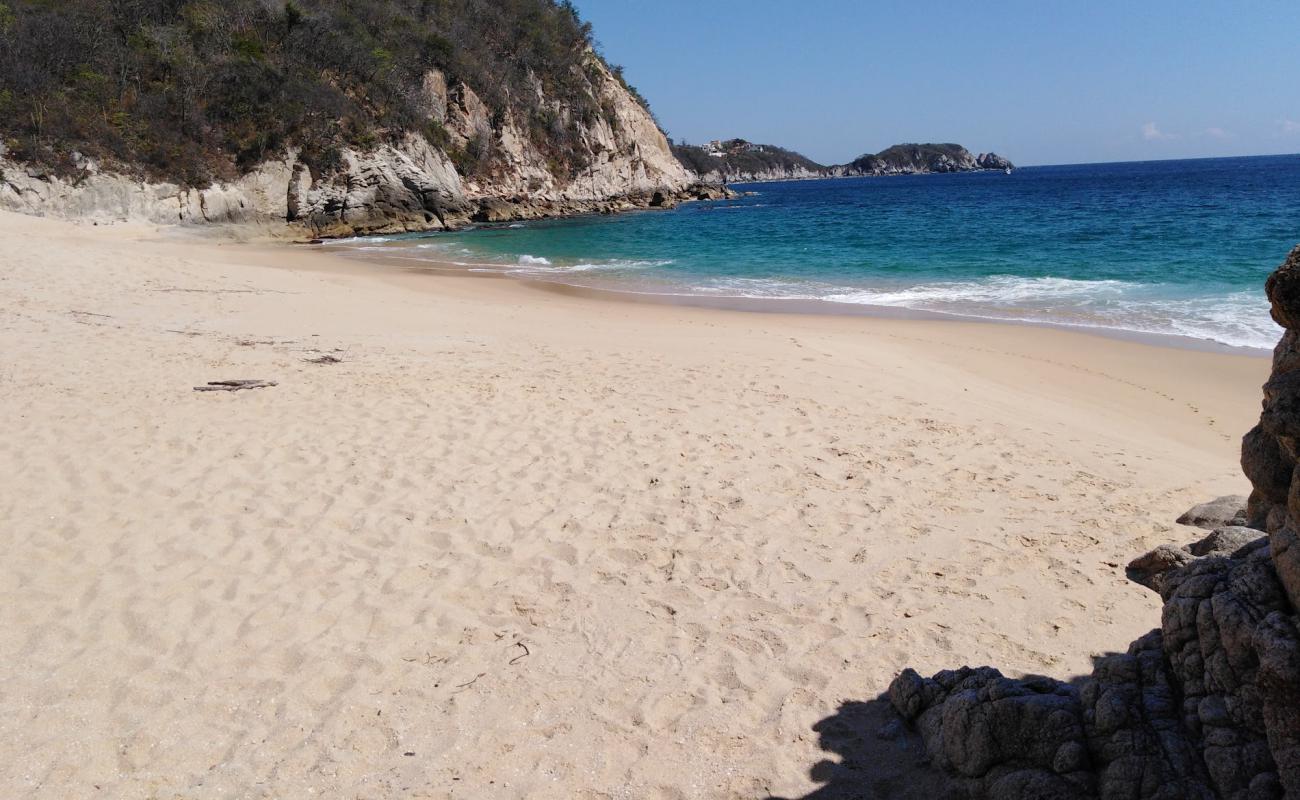 Photo de Esperanza beach avec sable fin et lumineux de surface