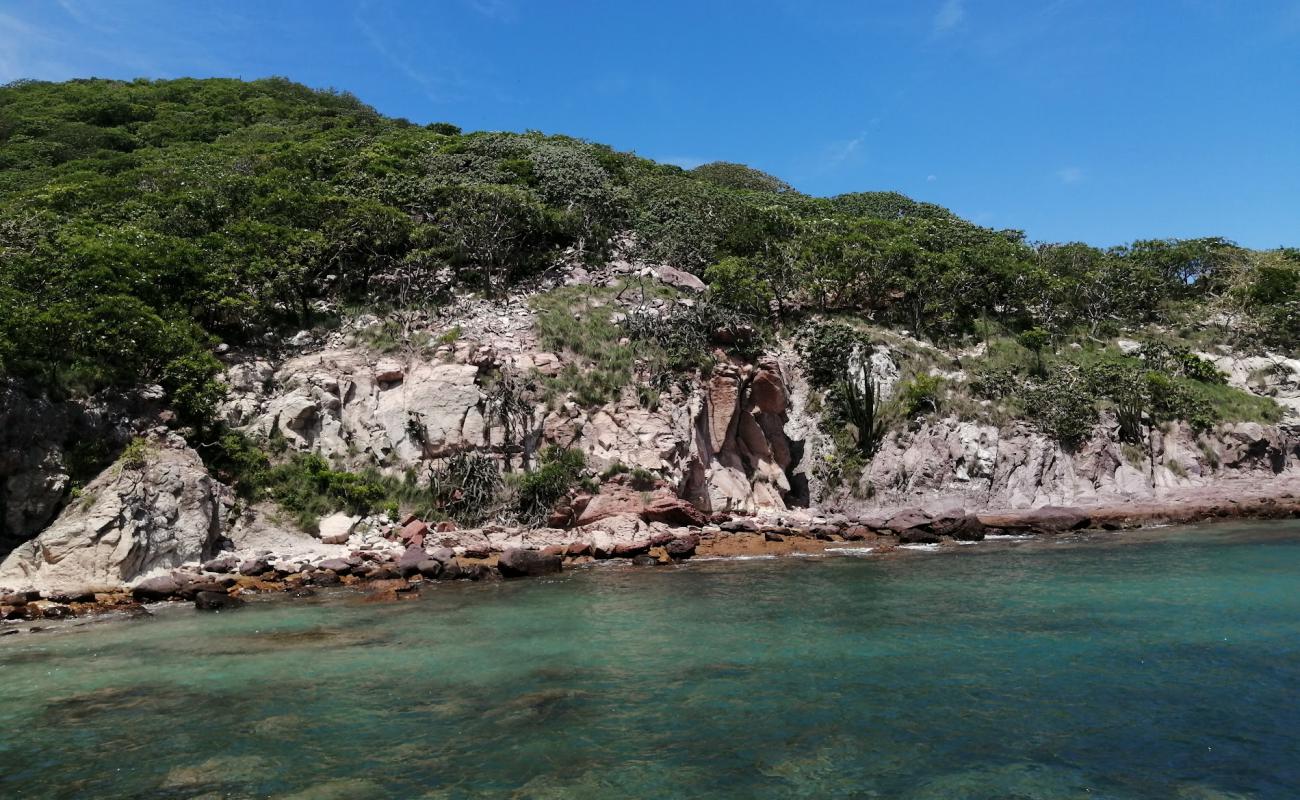 Photo de Pajaros beach avec sable fin et lumineux de surface