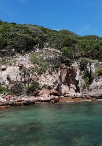Île de Pájaros