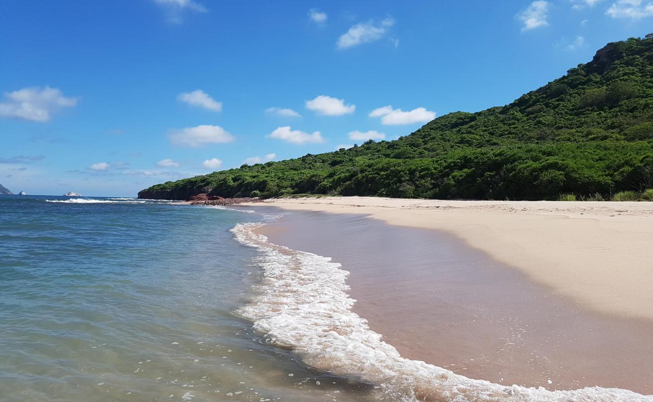 Photo de Venados beach avec sable beige fin de surface