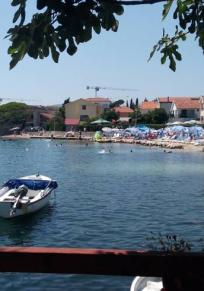 Đenovići