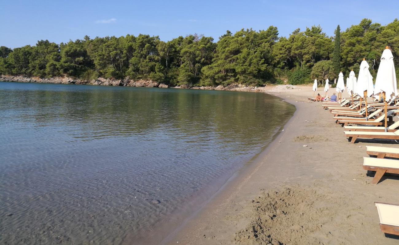 Photo de Plazh Przhno avec sable lumineux de surface