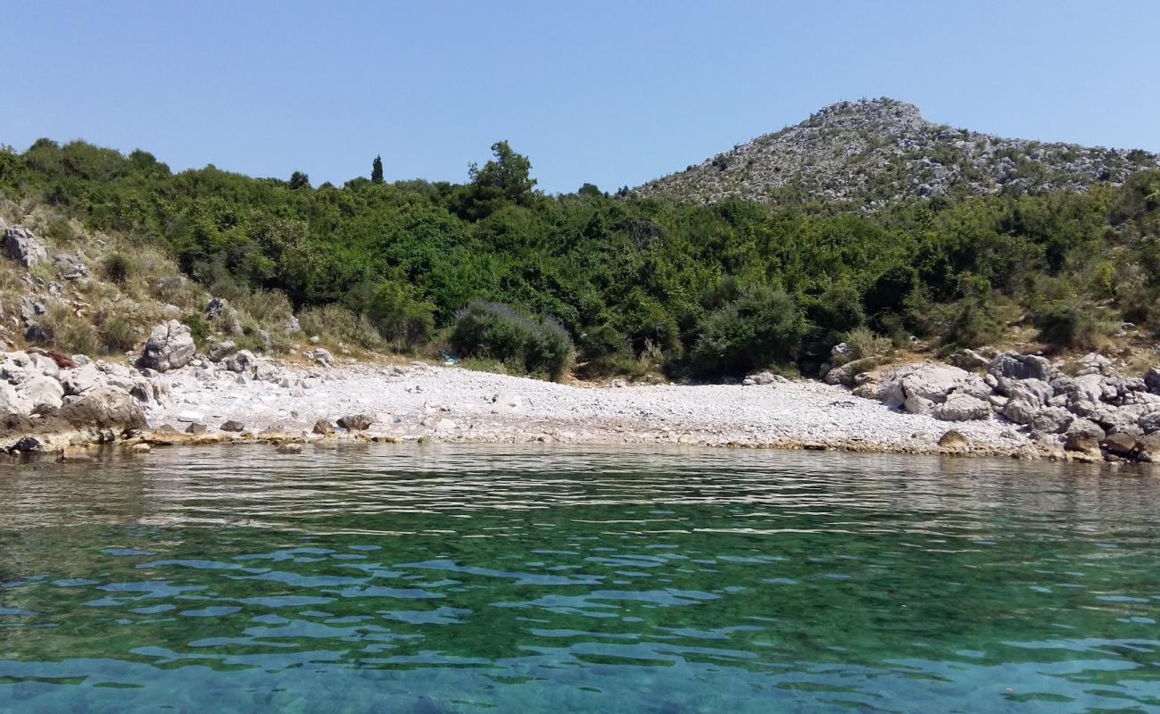 Photo de Bigovica beach avec roches de surface