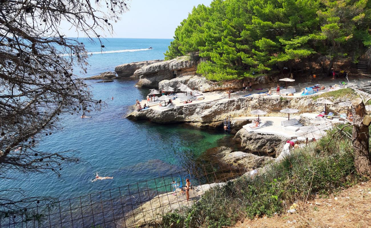 Photo de Albatros beach avec béton de surface