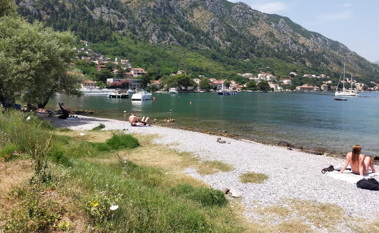 Photo de Kotor Natural Beach avec terrain rocheux de surface