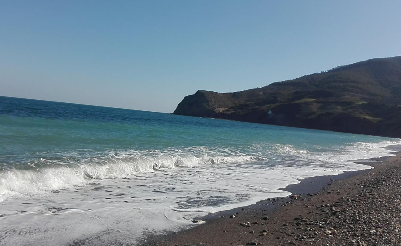 Photo de Tamernout plage II avec sable gris avec caillou de surface