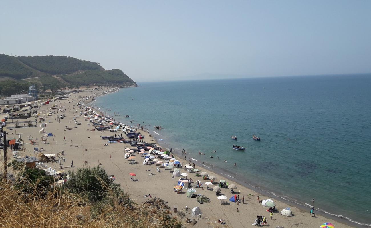 Photo de Amsa plage avec sable lumineux de surface