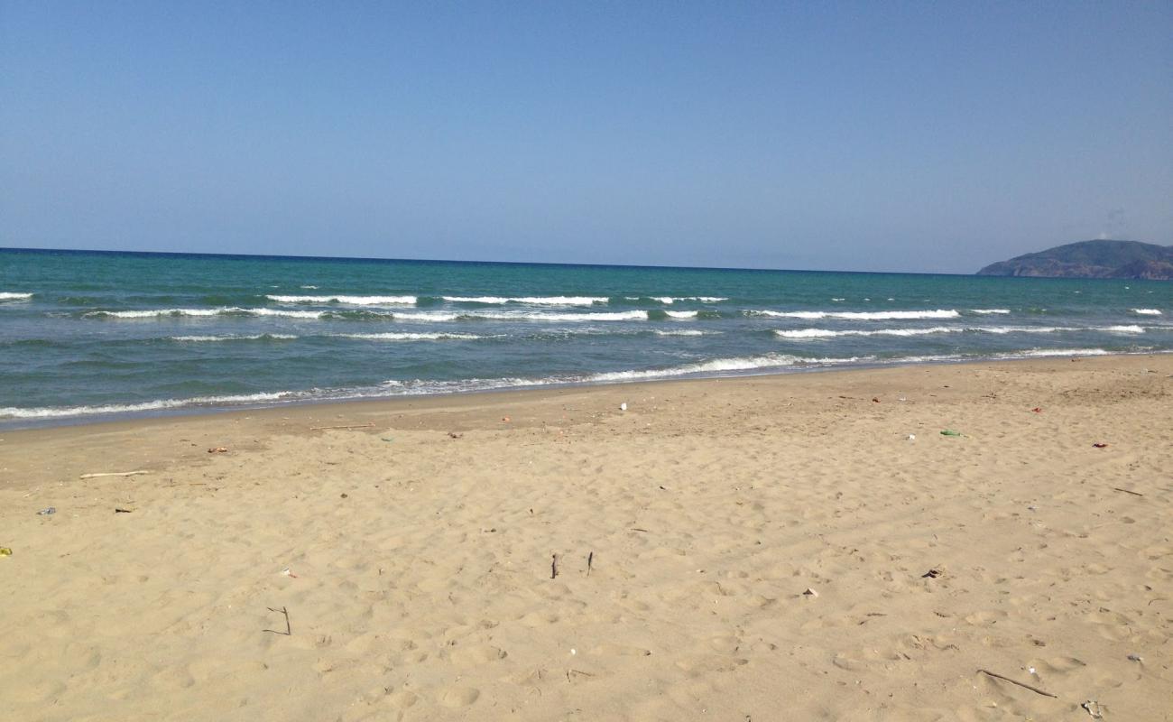 Photo de Saidi Abdeslam Beach avec sable beige de surface