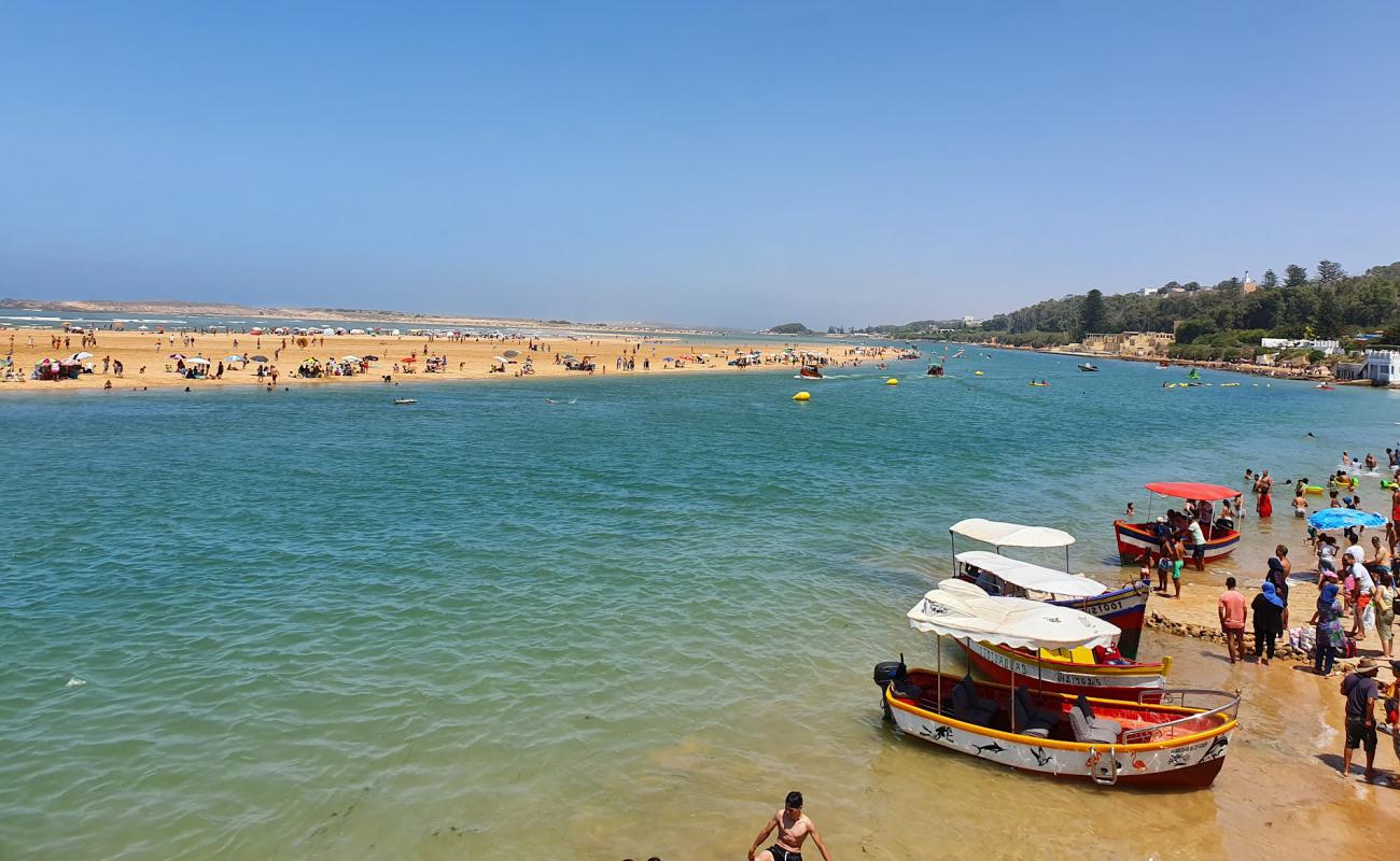 Photo de El Oualidia Plage avec sable beige fin de surface