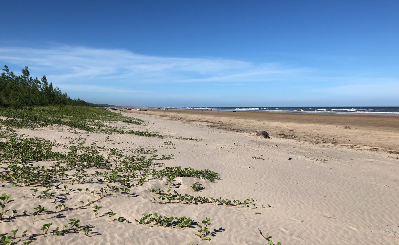 Photo de Zalala Beach - endroit populaire parmi les connaisseurs de la détente