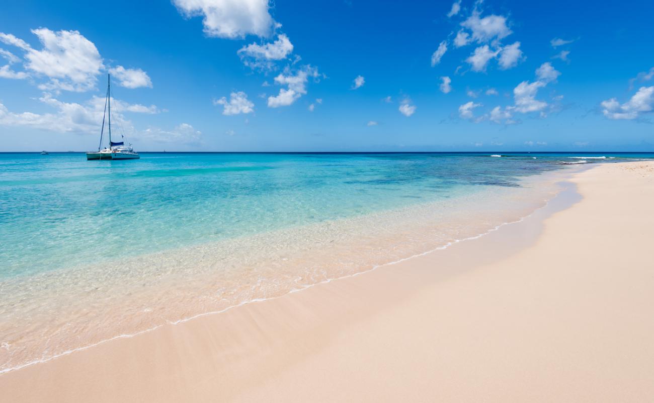 Photo de Westshore beach avec sable fin et lumineux de surface