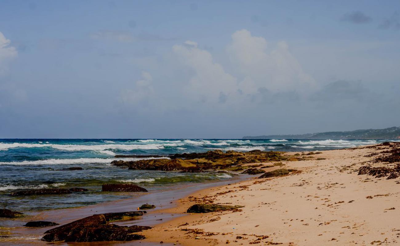 Photo de Morgan Lewis beach avec sable brillant et rochers de surface