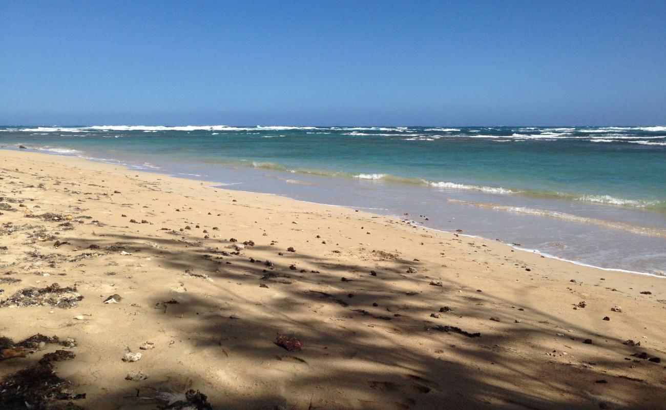 Photo de Bath beach avec sable beige de surface